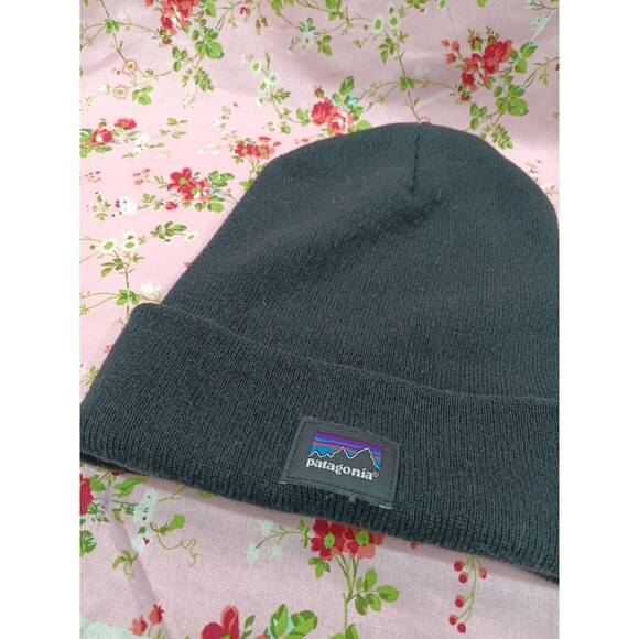 Patagonia Adult Winter Hat - Picture 1 of 4